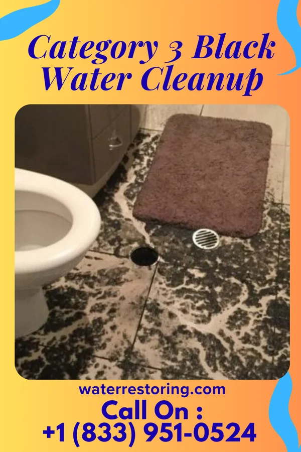 Category 3 Black Water Cleanup in Ashford, AL