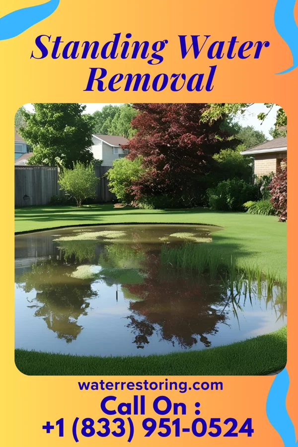 Standing Water Removal in Ashford, AL